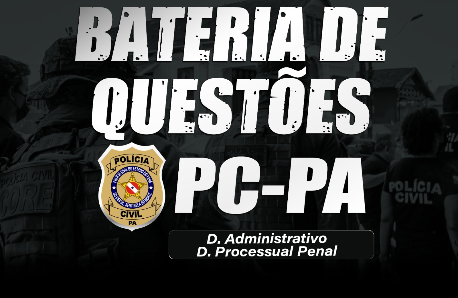 BATERIA DE QUESTÕES PC/PA