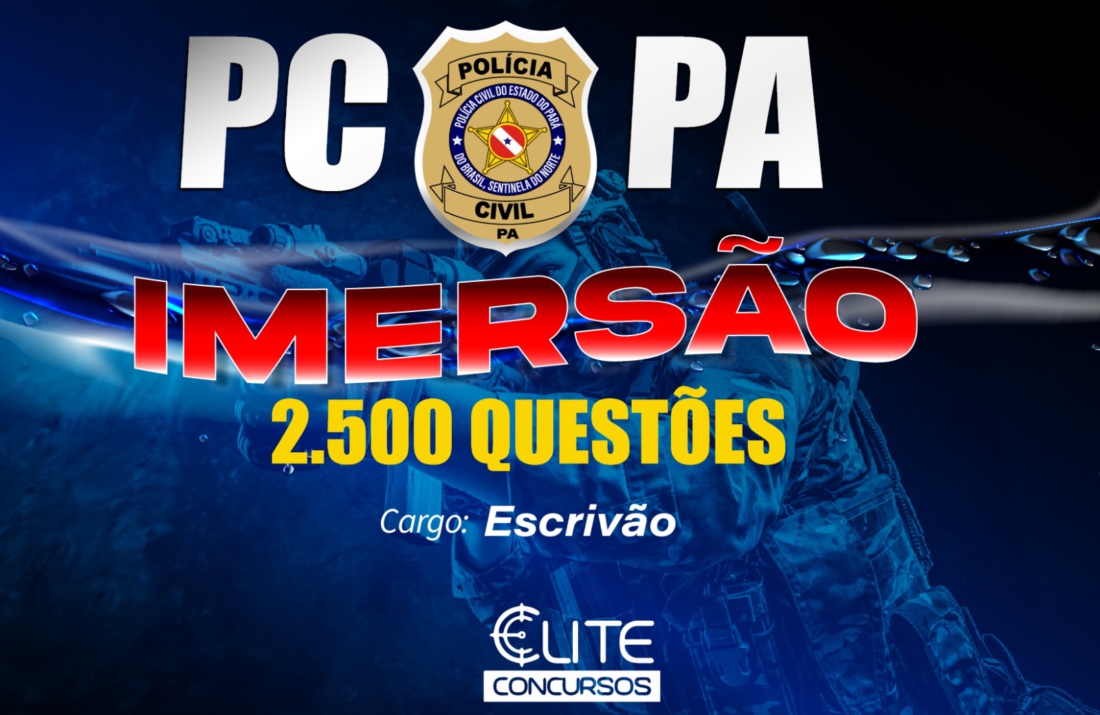 IMERSÃO PCPA 2.500 QUESTÕES - 08/01