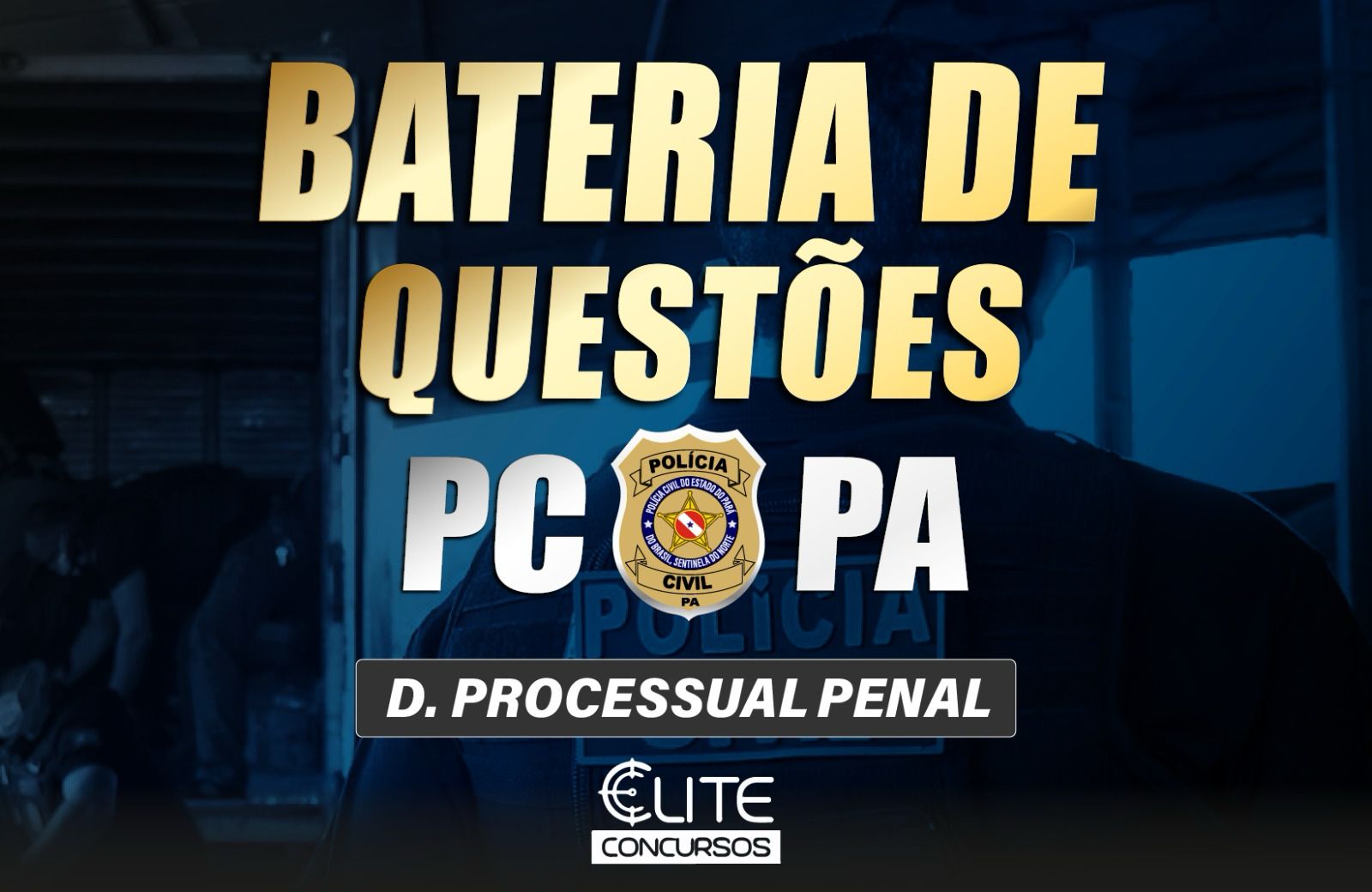 BATERIA DE QUESTÕES PC/PA - D. PROCESSUAL PENAL