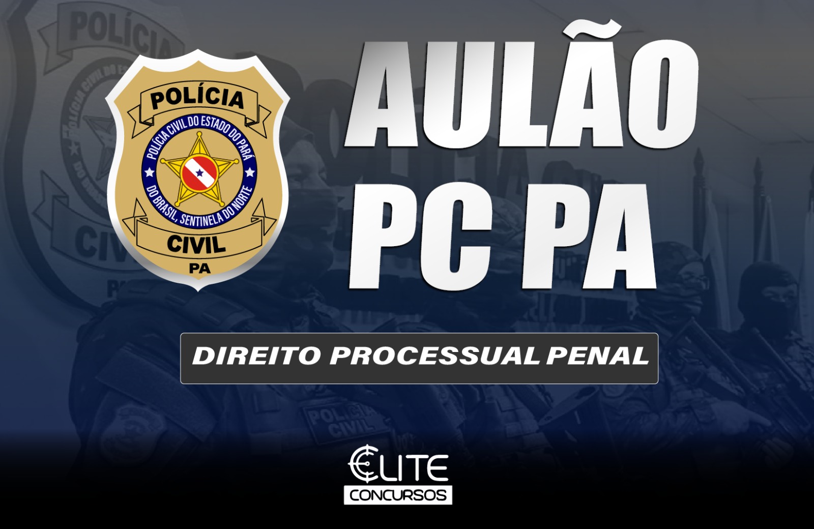 AULO POLCIA CIVIL - PROCESSUAL PENAL - 13/04